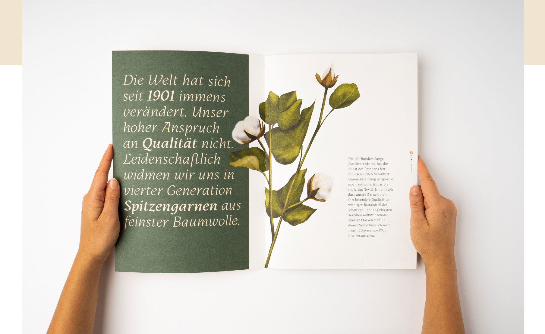Otto_02 Otto_02